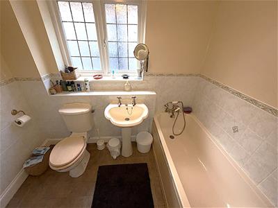 Picture 8